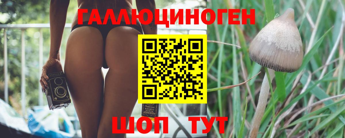 Псилоцибиновые грибы Magic Shrooms  Вход с VPN  Нурлат 
